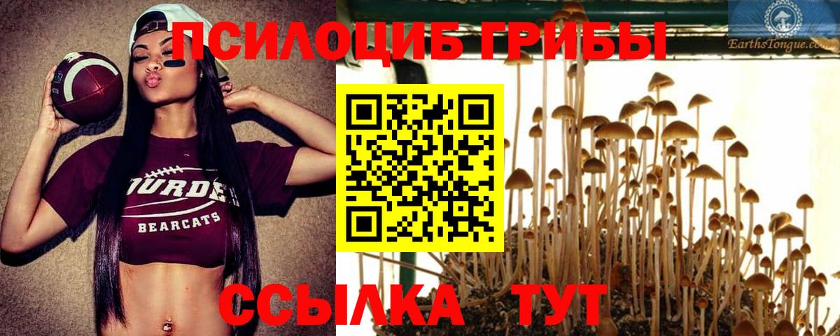 Псилоцибиновые грибы Magic Shrooms Севастополь