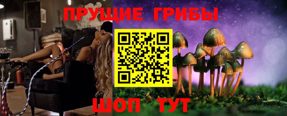 Севастополь  Псилоцибиновые грибы Cubensis  Вход с VPN  Галлюциногенные грибы мицелий 